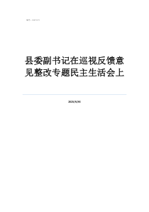 巡视组查哪些方面帐县委副书记在巡视反馈意见整改专题民主生活会上
