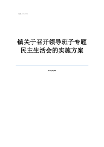 镇关于召开领导班子专题民主生活会的实施方案