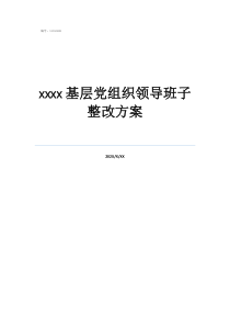 团员整改材料基层党组织领导班子整改方案
