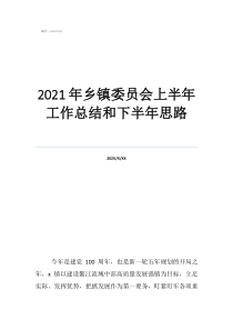 监督委员会年终总结2021年乡镇委员会上半年工作总结和下半年思路