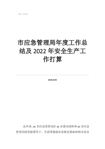 应急管理局安全生产工作总结市应急管理局年度工作总结及2022年安全生产工作打算