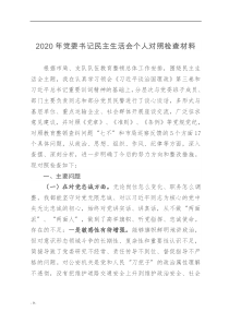 民主评议意见党委书记民主生活会个人对照检查材料(2)