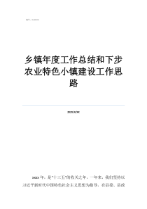 特色产业小镇乡镇年度工作总结和下步农业特色小镇建设工作思路