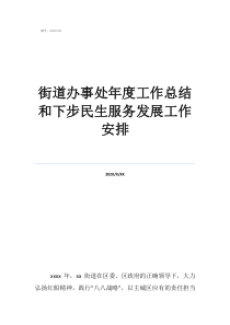 街道办事处年终工作总结街道办事处年度工作总结和下步民生服务发展工作安排