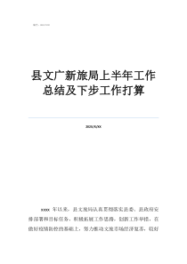 广州文广新局县文广新旅局上半年工作总结及下步工作打算