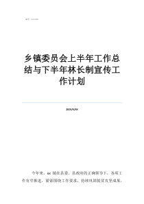 餐饮工作总结及工作计划乡镇委员会上半年工作总结与下半年林长制宣传工作计划