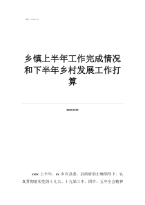 乡镇干部下一步工作打算乡镇上半年工作完成情况和下半年乡村发展工作打算