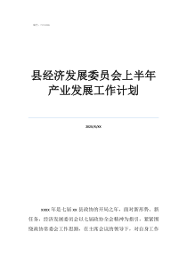 产业扶贫下一步工作计划县经济发展委员会上半年产业发展工作计划