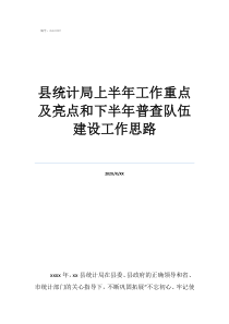 2020年工作思路和工作重点县统计局上半年工作重点及亮点和下半年普查队伍建设工作思路