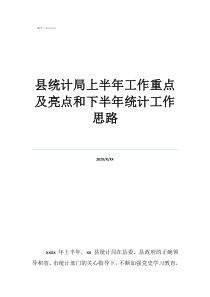 大数据局2020工作思路县统计局上半年工作重点及亮点和下半年统计工作思路