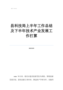 科技局安全工作年度总结县科技局上半年工作总结及下半年技术产业发展工作打算