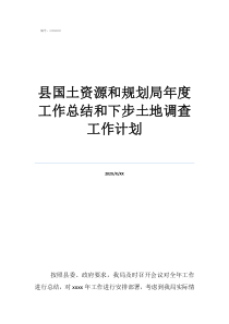 国土资源执法监察工作计划县国土资源和规划局年度工作总结和下步土地调查工作计划