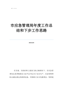 如何做好应急管理局工作市应急管理局年度工作总结和下步工作思路