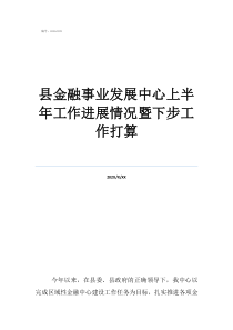 深圳金融中心县金融事业发展中心上半年工作进展情况暨下步工作打算