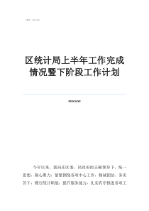 员工下阶段工作计划区统计局上半年工作完成情况暨下阶段工作计划