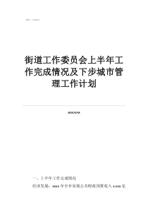 城市管理个人工作计划街道工作委员会上半年工作完成情况及下步城市管理工作计划