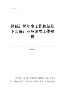 统计局能源专业工作总结区统计局年度工作总结及下步统计业务发展工作安排