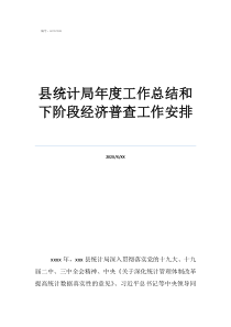 统计局办公室工作总结县统计局年度工作总结和下阶段经济普查工作安排