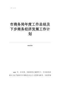 商务局行政审批工作计划市商务局年度工作总结及下步商务经济发展工作计划