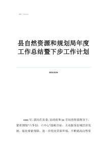 市自然资源局地环处总结县自然资源和规划局年度工作总结暨下步工作计划
