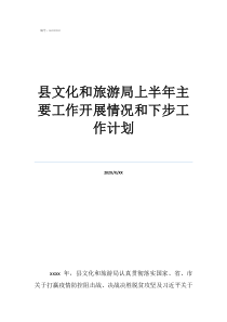 旅游网站工作计划县文化和旅游局上半年主要工作开展情况和下步工作计划