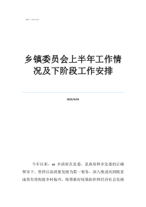 乡镇改革后人员怎么安排乡镇委员会上半年工作情况及下阶段工作安排