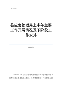 应急管理工作开展情况县应急管理局上半年主要工作开展情况及下阶段工作安排