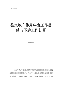 工作总结结尾县文旅广体局年度工作总结与下步工作打算