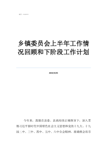 每周工作计划乡镇委员会上半年工作情况回顾和下阶段工作计划