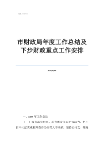 财政工作总结市财政局年度工作总结及下步财政重点工作安排