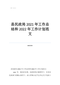 工作总结范文简短县民政局2021年工作总结和2022年工作计划范文