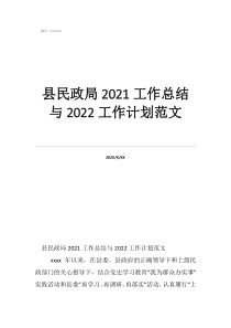 年度考核表个人工作总结县民政局2021工作总结与2022工作计划范文