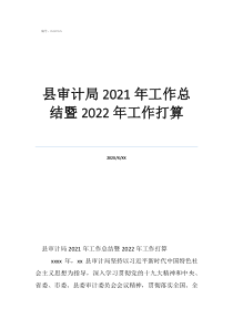 审计部门工作总结县审计局2021年工作总结暨2022年工作打算