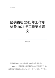 供销社保密工作总结区供销社2021年工作总结暨2022年工作要点范文