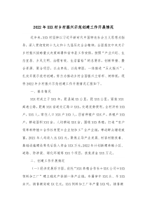 某某村2021乡村振兴总体规划2022年XXX村乡村振兴示范创建工作开展情况