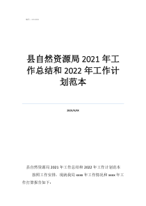 县自然资源局2021年工作总结和2022年工作计划范本