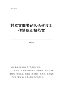 村党支部书记队伍建设工作情况汇报范文