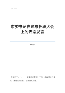 市委书记在宣布任职大会上的表态发言