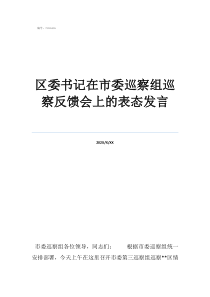 巡察反馈会上的表态发区委书记在市委巡察组巡察反馈会上的表态发言