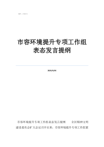 市容环境提升专项工作组表态发言提纲