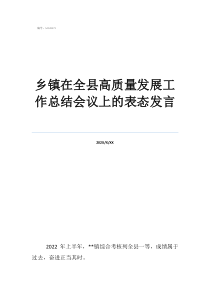 调度员工作总结300乡镇在全县高质量发展工作总结会议上的表态发言