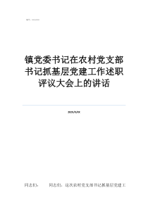 述职评议相关制度镇党委书记在农村党支部书记抓基层党建工作述职评议大会上的讲话