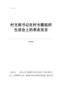 村支部书记在村专题组织生活会上的表态发言