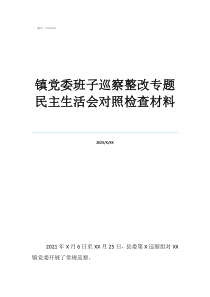 巡察整改个人剖析镇党委班子巡察整改专题民主生活会对照检查材料