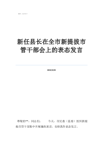 副县长入职表态发言新任县长在全市新提拔市管干部会上的表态发言