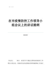 疫情防控领导小组及职在市疫情防控工作领导小组会议上的讲话提纲