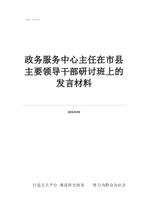 绥化领导干部公示政务服务中心主任在市县主要领导干部研讨班上的发言材料