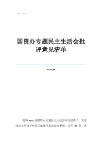 国资办专题民主生活会批评意见清单