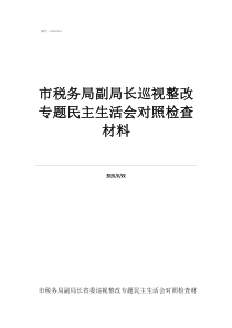 市税务局副局长巡视整改专题民主生活会对照检查材料