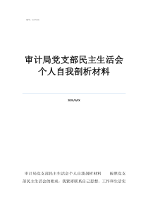 审计局党支部民主生活会个人自我剖析材料